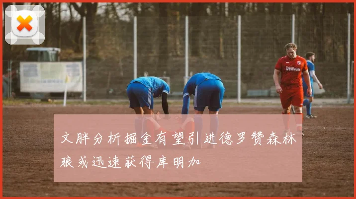 文胖分析掘金有望引进德罗赞森林狼或迅速获得库明加